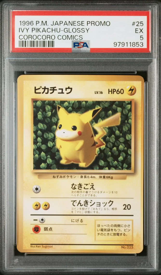 Ivy Pikachu-Glossy, graded PSA 5